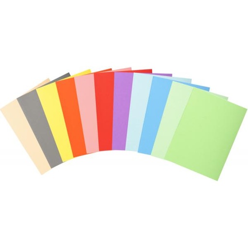 [CHEMISE] Exacompta 100 chemises couleurs A4 160g/m2